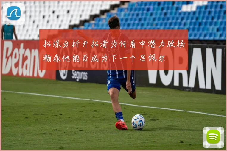 拓媒分析开拓者为何看中潜力股杨瀚森他能否成为下一个吕佩尔