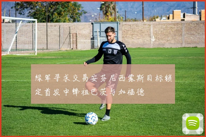 绿军寻求交易安芬尼西蒙斯目标锁定首发中锋祖巴茨与加福德